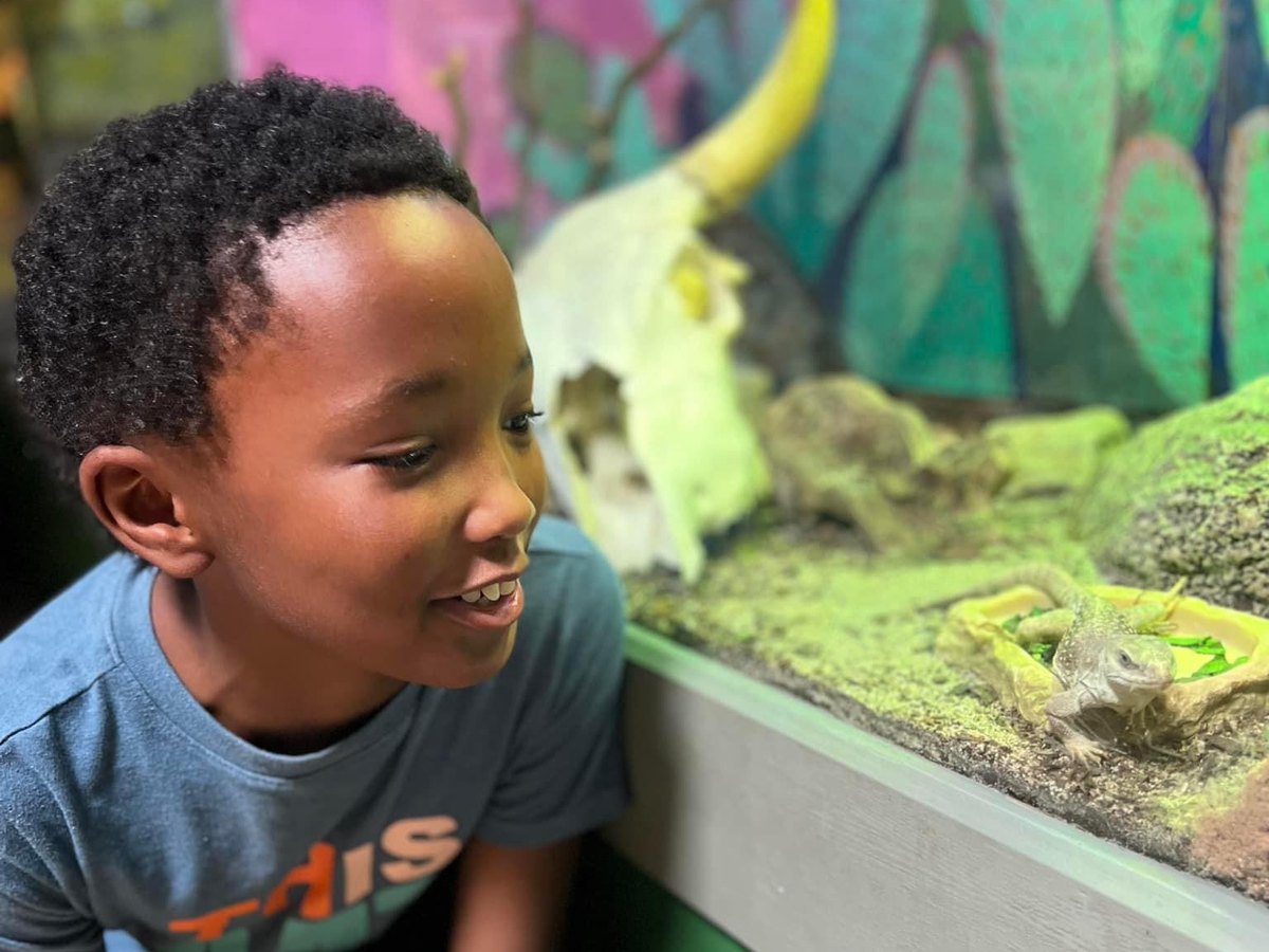 A school-age student watching the classroom aquarium