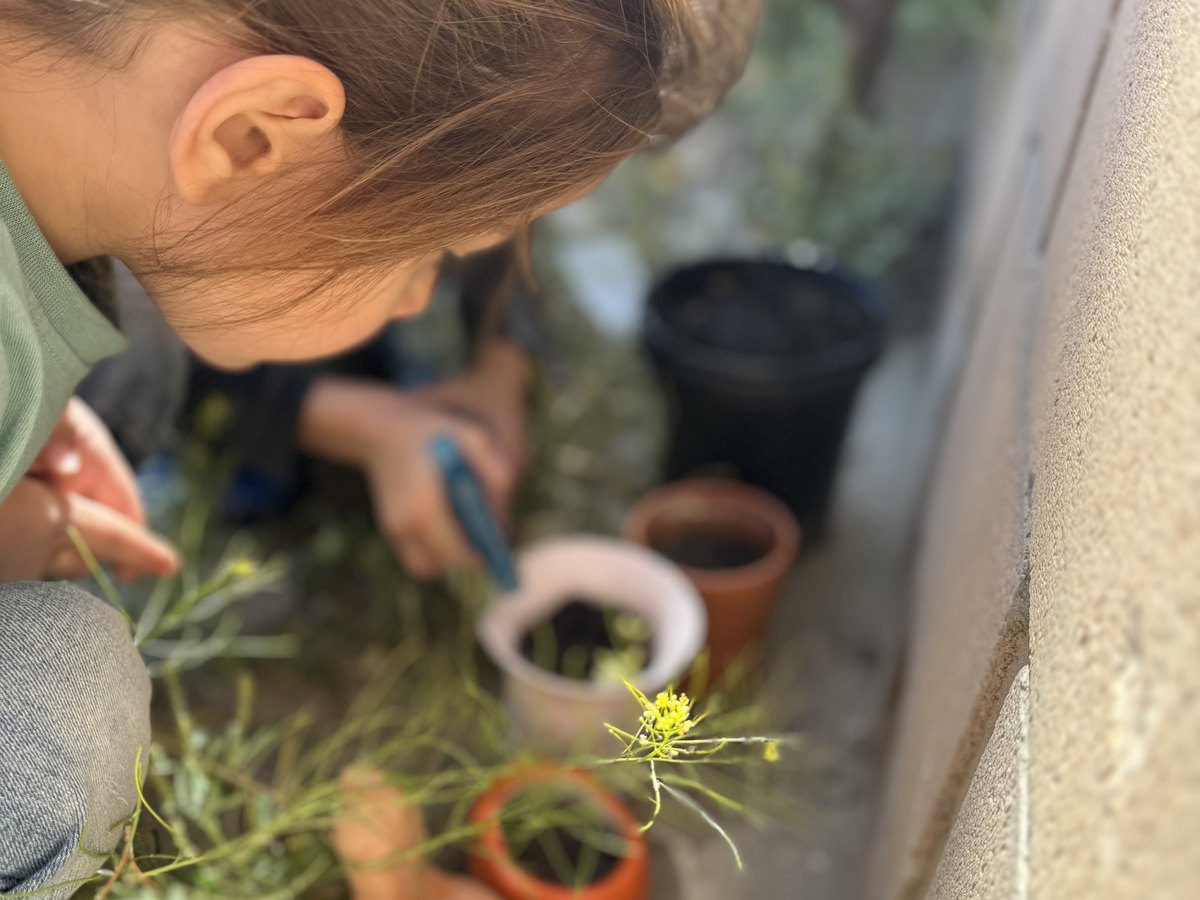A child planting seedlings in small pots